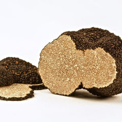 Fresh Burgundy Truffle - Angel's Salumi & Truffles