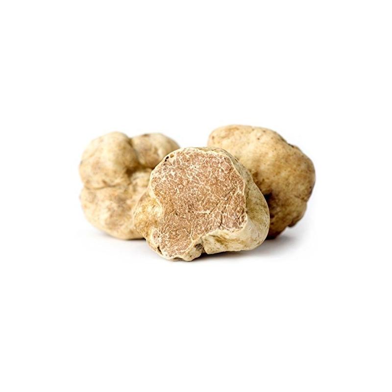 Whole White Alba Truffle with golden, knobby exterior and creamy tan interior; prized for its intense aroma and flavor, harvested in Northern Italy.