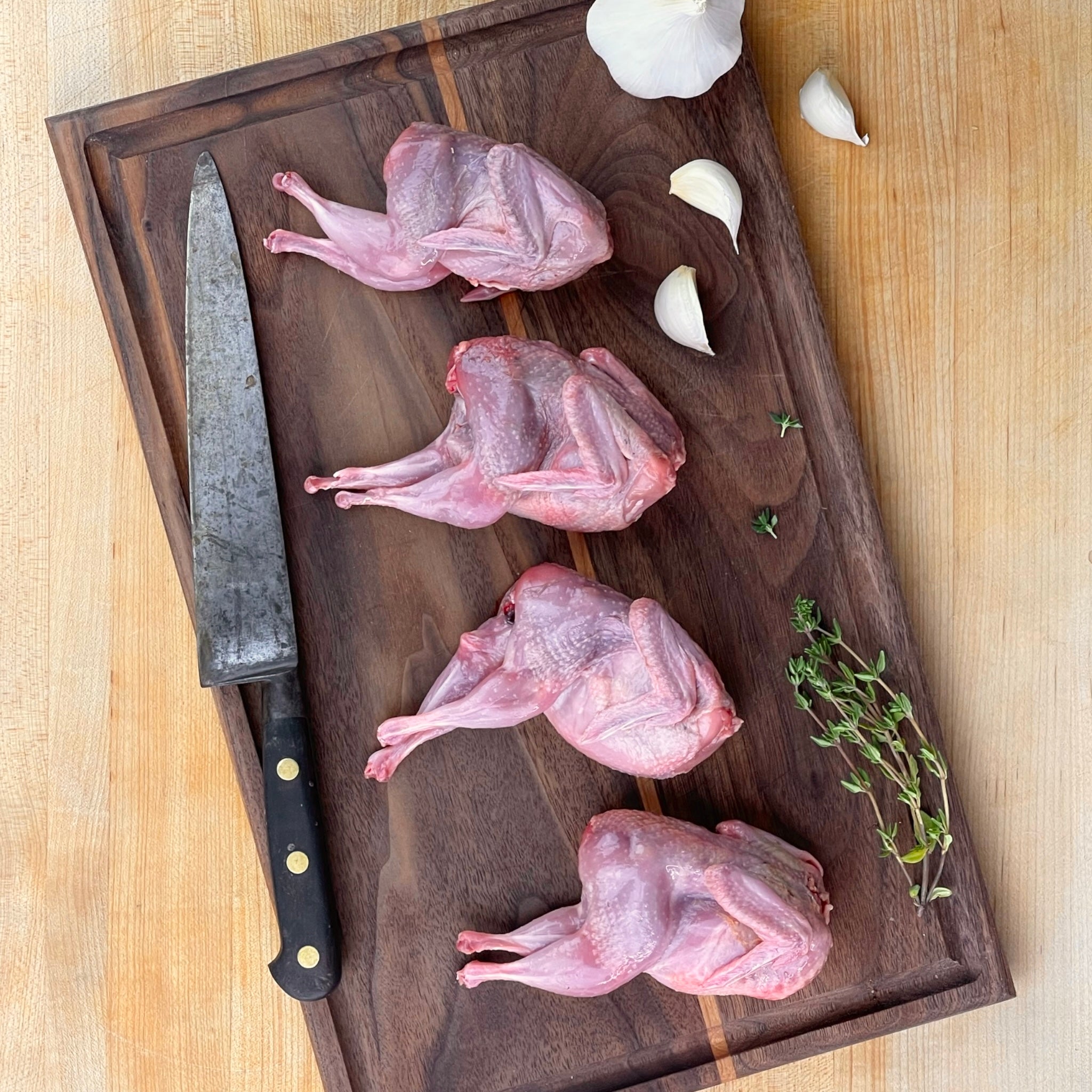 Large Quails