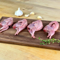 Large Quails